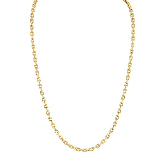 Bulova Stainless Steel Luxury Jewelry Mens Necklace BVC1077-GSTNA24