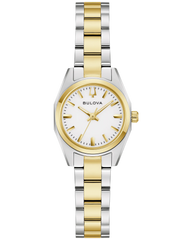 Surveyor Watch 98L331