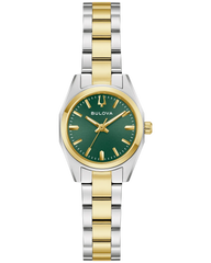 Surveyor Watch 98L329