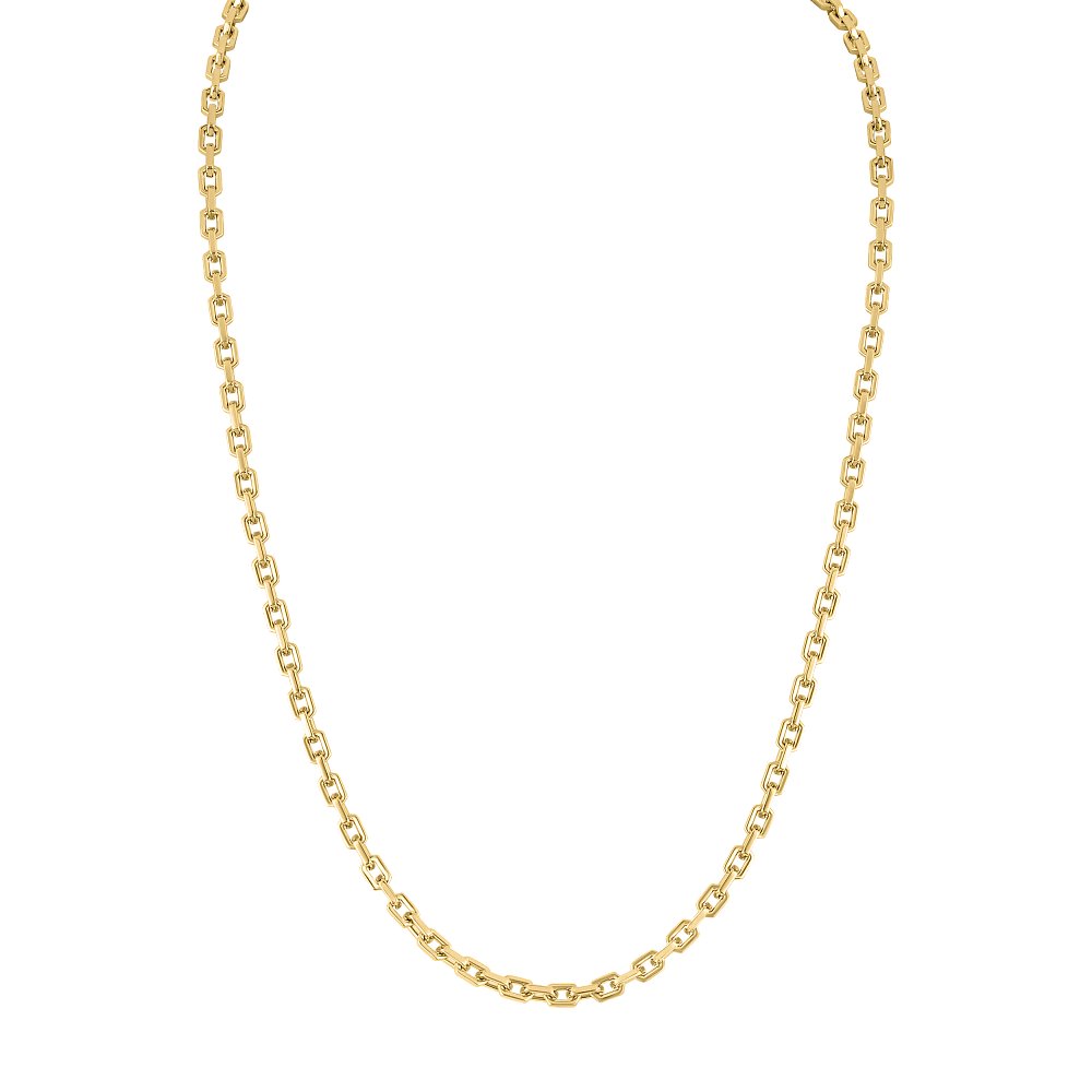 Bulova Stainless Steel Luxury Jewelry Mens Necklace BVC1077-GSTNA24