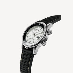 Diver 300 Heritage Watch AL-525S4H6