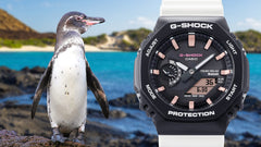 G-Shock ANALOG-DIGITAL GAB2100CD1A7