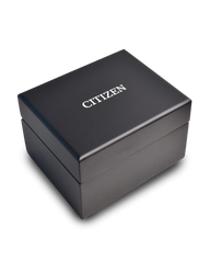 Series8 880 GMT NB6036-52N