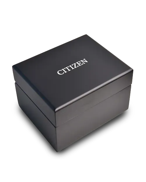 Citizen Series8 890 City Lights NB6062-52P