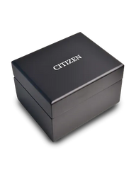 Citizen Series8 890 City Lights NB6062-52P