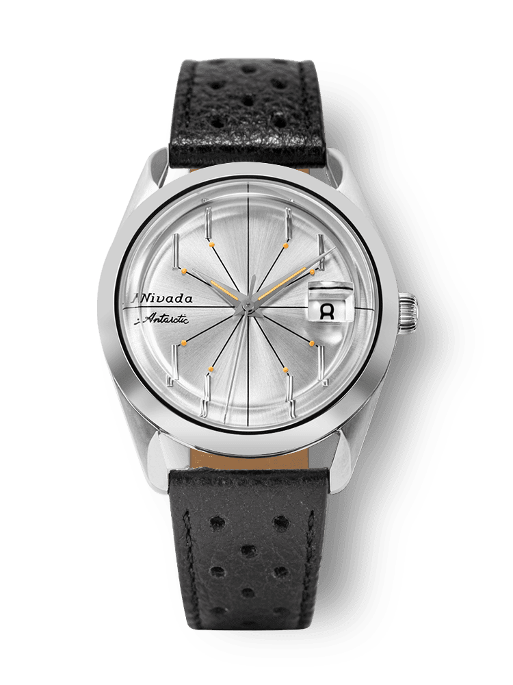 nivada-antarctic-spider-32023a10