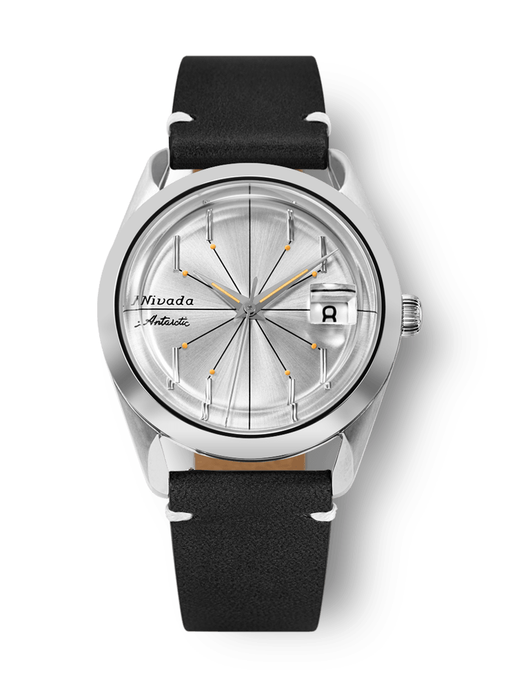 nivada-antarctic-spider-32023a15