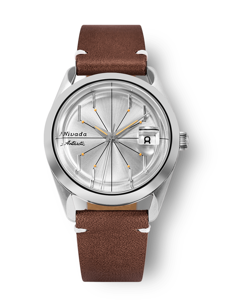 nivada-antarctic-spider-32023a02