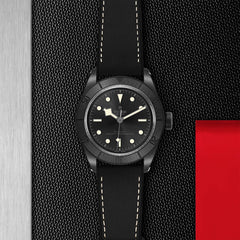 Tudor Black Bay Ceramic 79210CNU