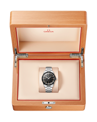 Seamaster 300 234.30.41.21.01.001