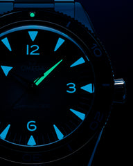 Seamaster 300 234.30.41.21.03.002