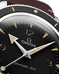 Seamaster 300 234.32.41.21.01.001