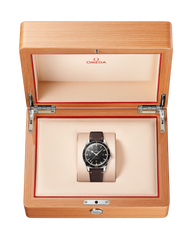 Seamaster 300 234.32.41.21.01.001