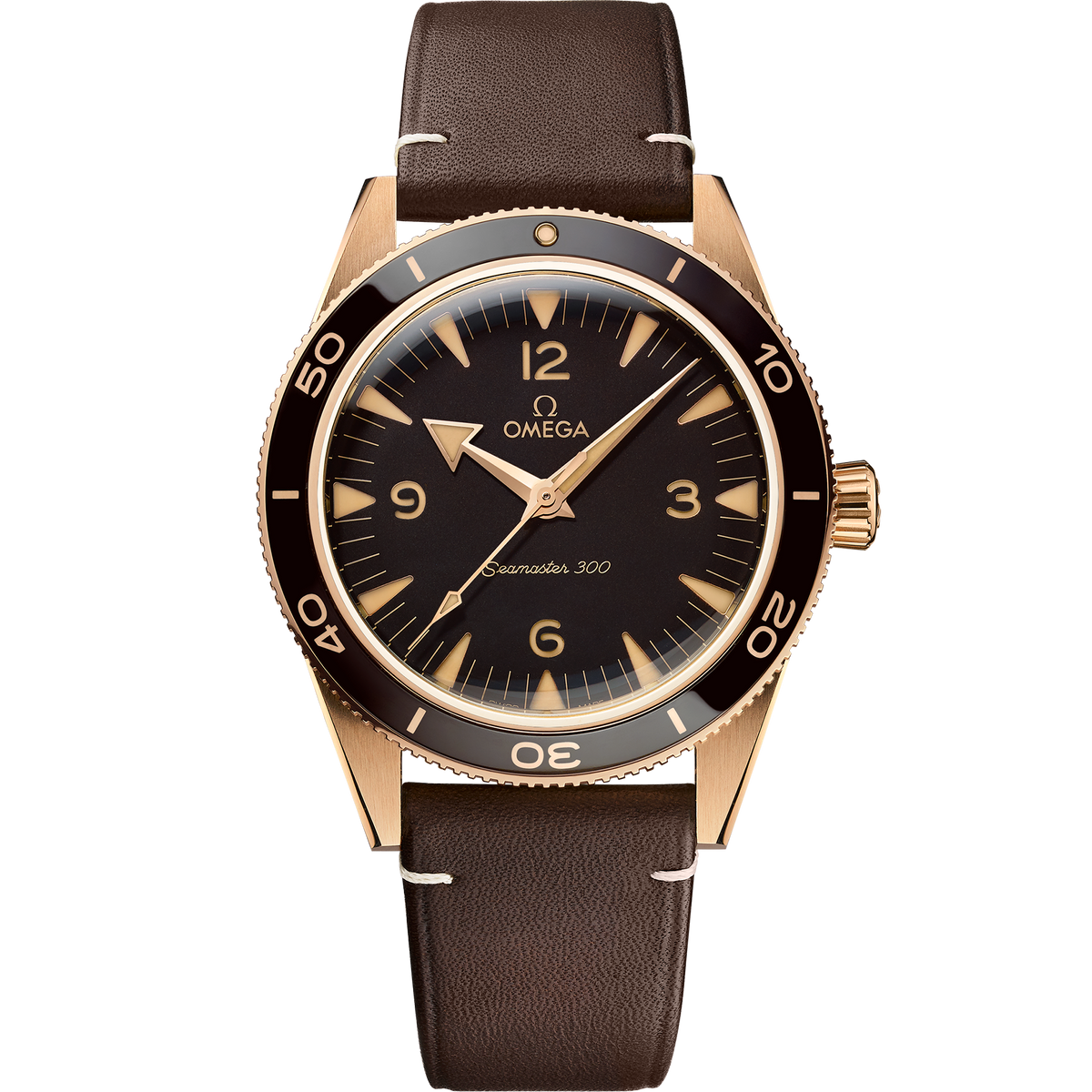 Seamaster 300 234.92.41.21.10.001