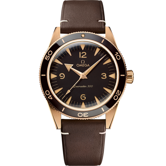 Seamaster 300 234.92.41.21.10.001