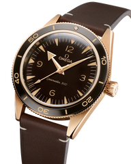 Seamaster 300 234.92.41.21.10.001