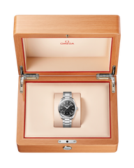 Seamaster Aqua Terra 150M 220.10.38.20.01.001