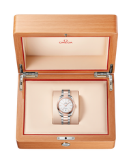 Seamaster Aqua Terra 150M 220.20.38.20.02.001