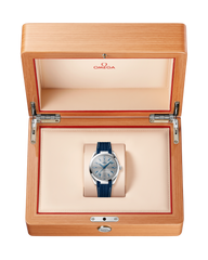 Seamaster Aqua Terra 150M 220.12.41.21.06.001