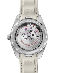 Seamaster Aqua Terra 150M 220.12.41.21.02.005