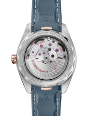 Seamaster Aqua Terra 150M 220.22.41.21.03.001