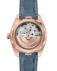 Seamaster Aqua Terra 150M 220.52.41.21.03.002