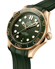 Seamaster Diver 300M 210.62.42.20.10.001