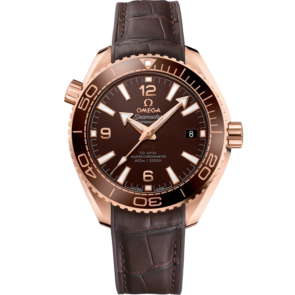 Seamaster Planet Ocean 600M 215.63.40.20.13.001