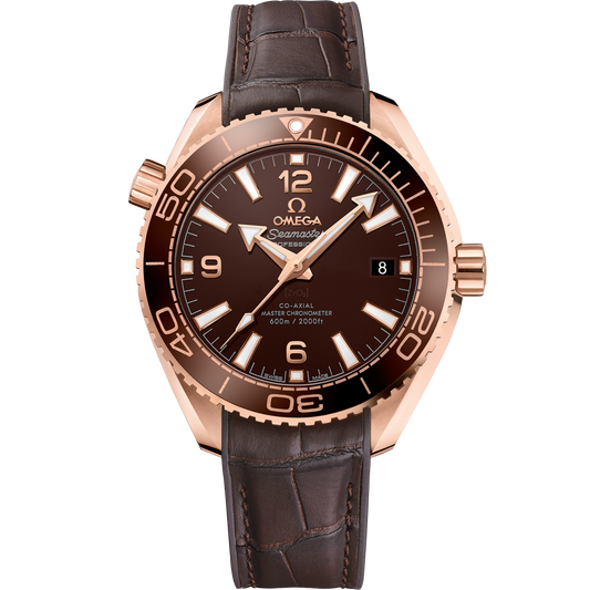 Seamaster Planet Ocean 600M 215.63.40.20.13.001