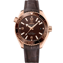 Seamaster Planet Ocean 600M 215.63.40.20.13.001