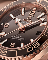 Seamaster Planet Ocean 600M 215.63.40.20.13.001