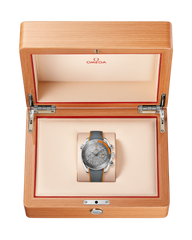 Seamaster Planet Ocean 600M 215.92.46.51.99.001